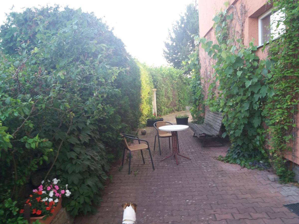 Apartman Na Skale Kostelec nad Orlicí Exterior foto